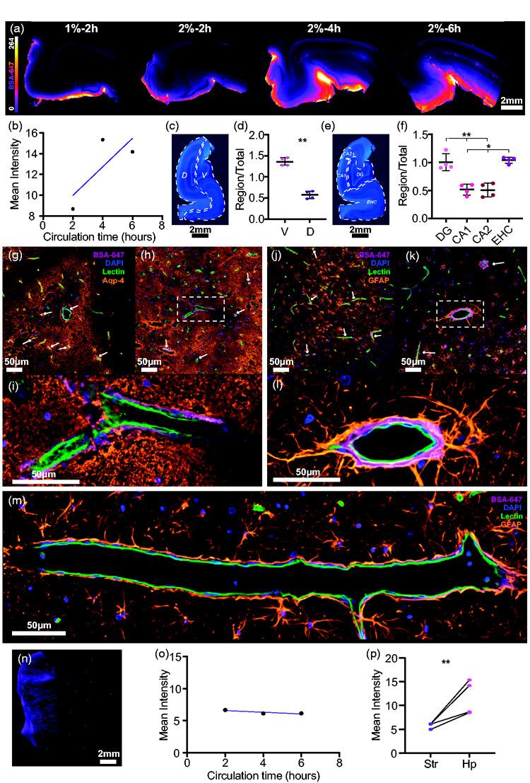 https://cdn.ncbi.nlm.nih.gov/pmc/blobs/ca1a/8393296/046e0c25a05c/10.1177_0271678X21996175-fig5.jpg