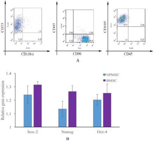 https://cdn.ncbi.nlm.nih.gov/pmc/blobs/ca1c/7043879/6528a2e791dc/IJBMS-22-1468-g003.jpg
