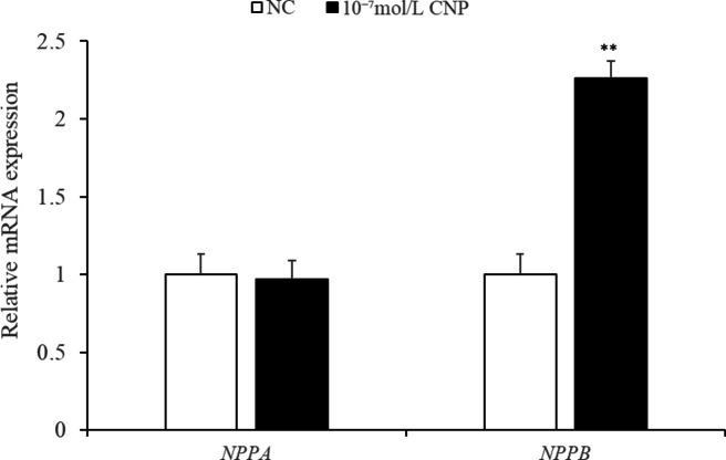 https://cdn.ncbi.nlm.nih.gov/pmc/blobs/ca1e/12000514/0e4f002a6188/41598_2025_86433_Fig19_HTML.jpg