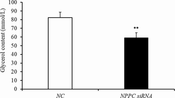 https://cdn.ncbi.nlm.nih.gov/pmc/blobs/ca1e/12000514/12cb196a4fdd/41598_2025_86433_Fig8_HTML.jpg