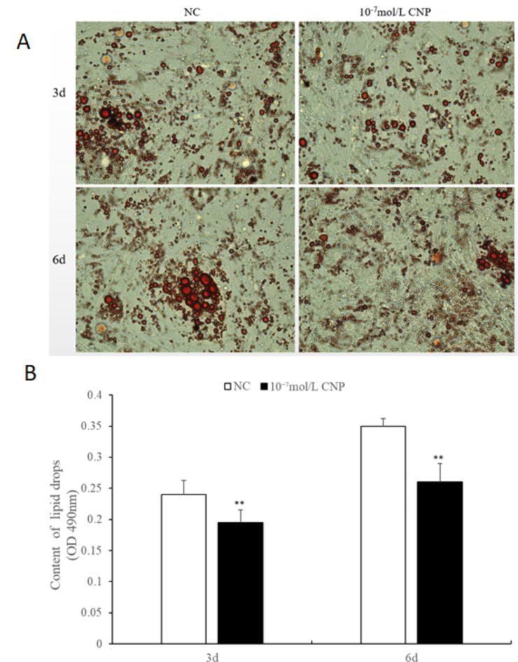 https://cdn.ncbi.nlm.nih.gov/pmc/blobs/ca1e/12000514/2c265f485ec0/41598_2025_86433_Fig13_HTML.jpg