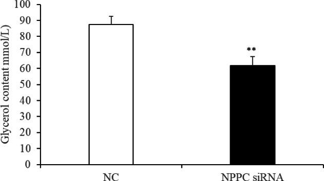 https://cdn.ncbi.nlm.nih.gov/pmc/blobs/ca1e/12000514/33a8b3632cee/41598_2025_86433_Fig18_HTML.jpg