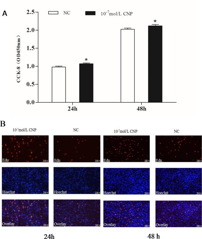 https://cdn.ncbi.nlm.nih.gov/pmc/blobs/ca1e/12000514/6206e1b38764/41598_2025_86433_Fig12_HTML.jpg