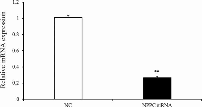 https://cdn.ncbi.nlm.nih.gov/pmc/blobs/ca1e/12000514/6ebd9021f71b/41598_2025_86433_Fig15_HTML.jpg