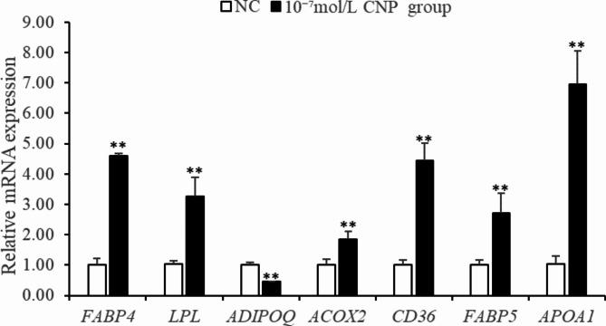 https://cdn.ncbi.nlm.nih.gov/pmc/blobs/ca1e/12000514/736279b97a56/41598_2025_86433_Fig11_HTML.jpg