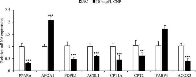 https://cdn.ncbi.nlm.nih.gov/pmc/blobs/ca1e/12000514/88bd2783a021/41598_2025_86433_Fig20_HTML.jpg