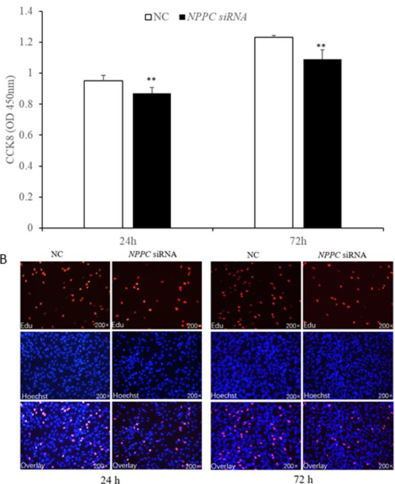 https://cdn.ncbi.nlm.nih.gov/pmc/blobs/ca1e/12000514/98b0155bf5a0/41598_2025_86433_Fig6_HTML.jpg