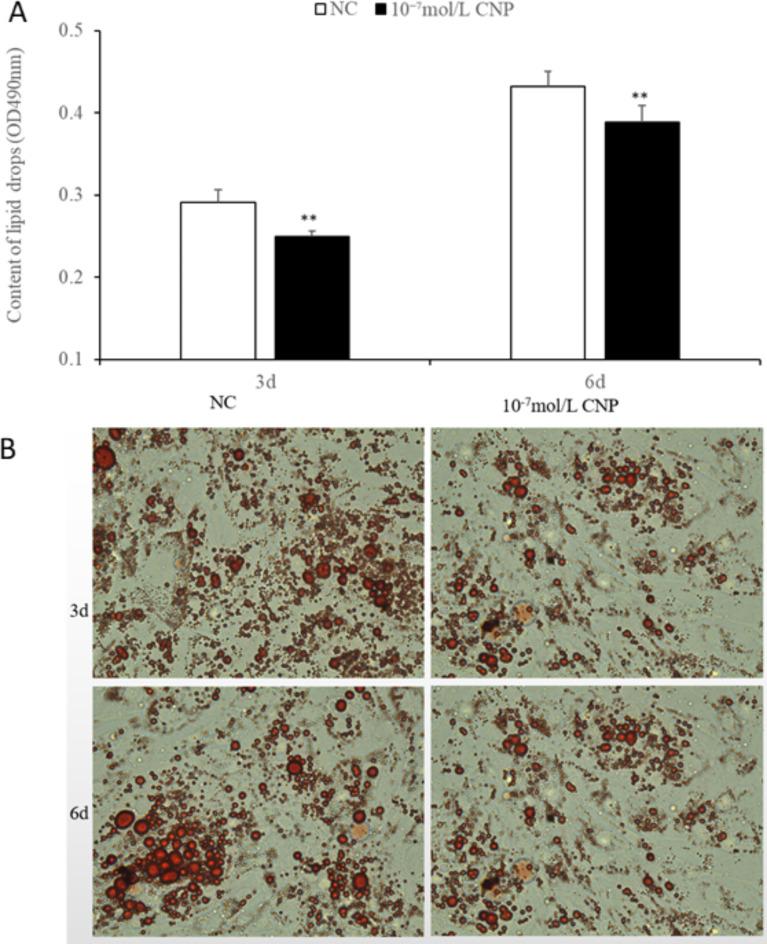 https://cdn.ncbi.nlm.nih.gov/pmc/blobs/ca1e/12000514/b575569a0de6/41598_2025_86433_Fig3_HTML.jpg