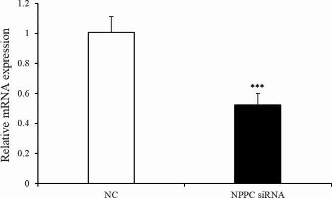 https://cdn.ncbi.nlm.nih.gov/pmc/blobs/ca1e/12000514/e204aaf9b5fc/41598_2025_86433_Fig5_HTML.jpg