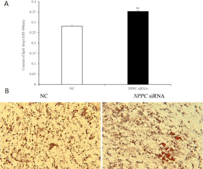 https://cdn.ncbi.nlm.nih.gov/pmc/blobs/ca1e/12000514/ef99ccb35f59/41598_2025_86433_Fig7_HTML.jpg