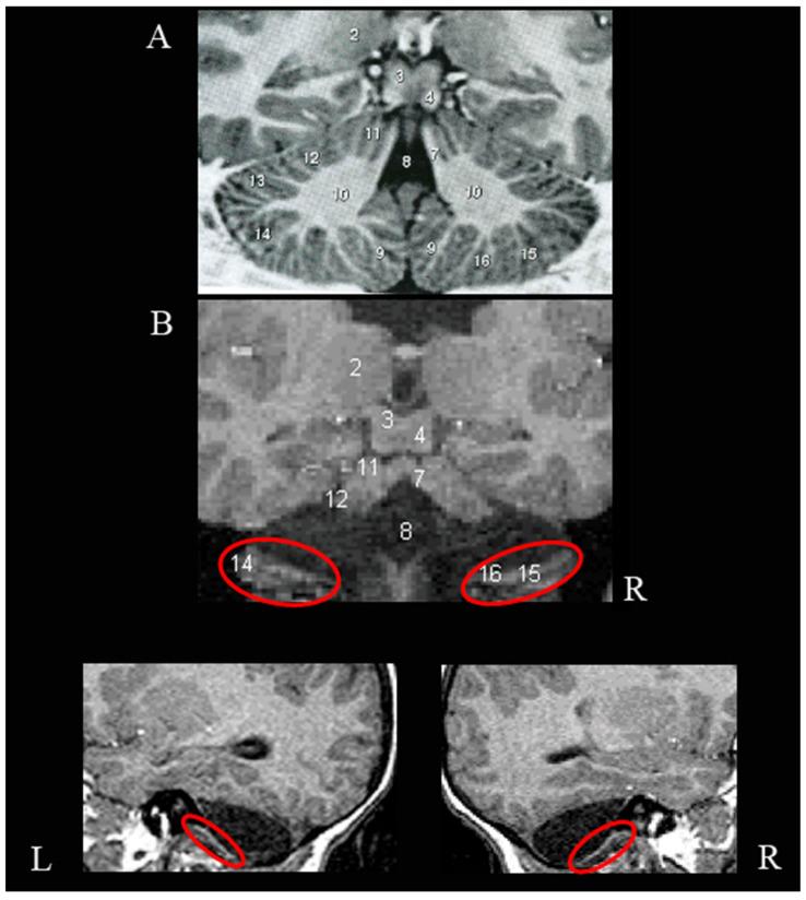 https://cdn.ncbi.nlm.nih.gov/pmc/blobs/ca1e/8835405/f3aca26da284/ijerph-19-01224-g001.jpg