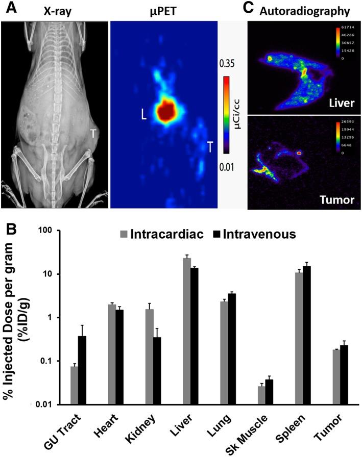 https://cdn.ncbi.nlm.nih.gov/pmc/blobs/ca1f/6127224/bed88408185a/SCT3-7-651-g003.jpg