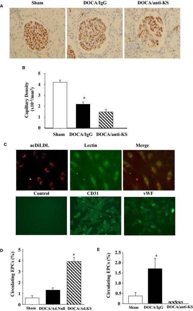 https://cdn.ncbi.nlm.nih.gov/pmc/blobs/ca21/4323828/4bb1bc29d6d9/jah3-3-e001194-g1.jpg