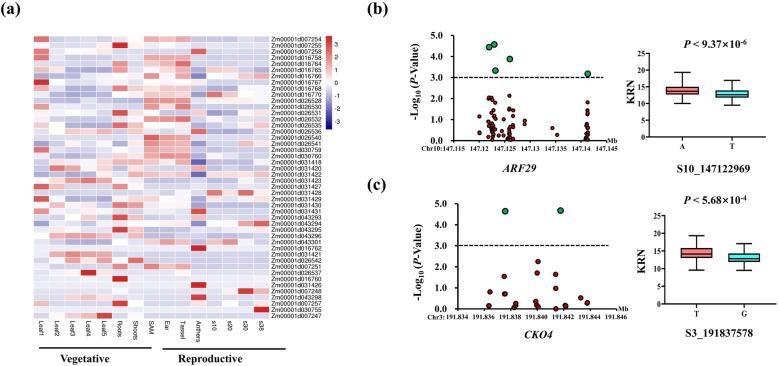 https://cdn.ncbi.nlm.nih.gov/pmc/blobs/ca21/7590725/4ee09626b827/12870_2020_2676_Fig3_HTML.jpg