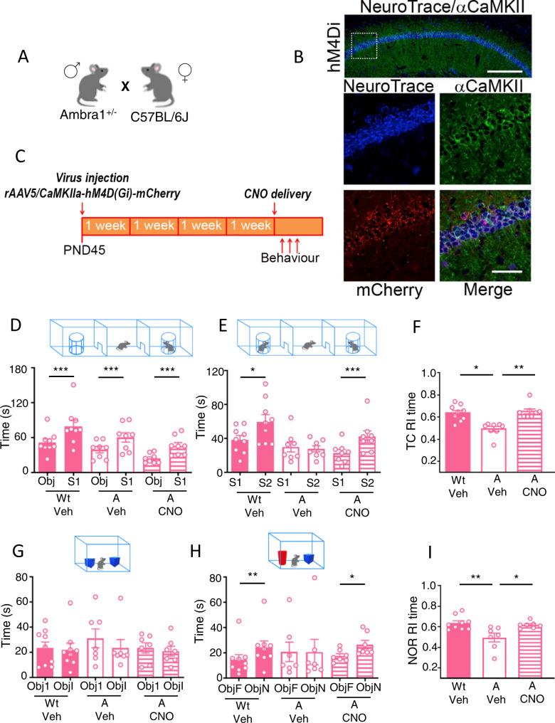 https://cdn.ncbi.nlm.nih.gov/pmc/blobs/ca23/9941573/35586d1d3cbf/41398_2023_2357_Fig3_HTML.jpg