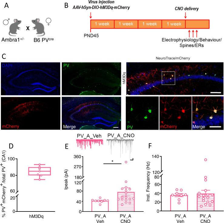 https://cdn.ncbi.nlm.nih.gov/pmc/blobs/ca23/9941573/5642a609c2f7/41398_2023_2357_Fig1_HTML.jpg