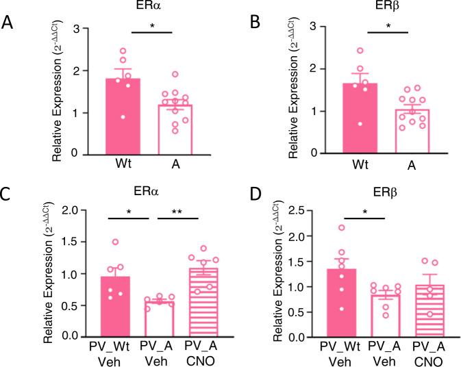 https://cdn.ncbi.nlm.nih.gov/pmc/blobs/ca23/9941573/9cb9c0ff2141/41398_2023_2357_Fig5_HTML.jpg