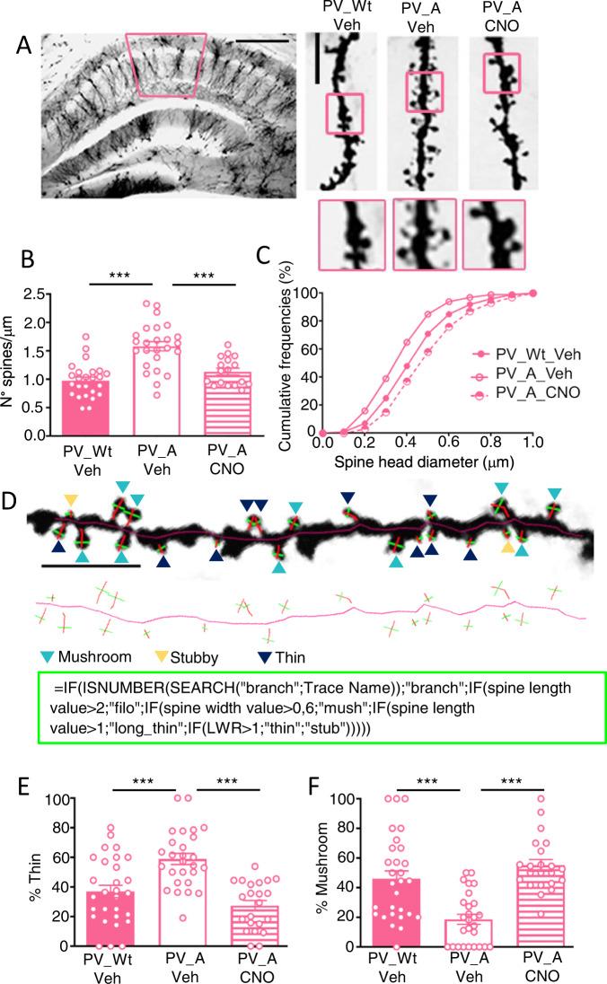 https://cdn.ncbi.nlm.nih.gov/pmc/blobs/ca23/9941573/a4139a1c4415/41398_2023_2357_Fig4_HTML.jpg
