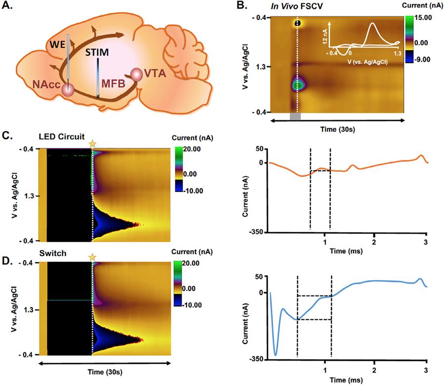 https://cdn.ncbi.nlm.nih.gov/pmc/blobs/ca26/8189313/0d43a368b244/nihms-1585083-f0010.jpg