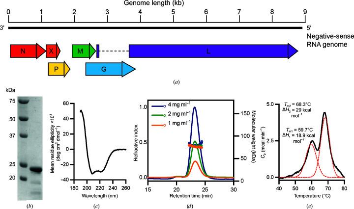 https://cdn.ncbi.nlm.nih.gov/pmc/blobs/ca27/9979977/a2cac4add5dc/f-79-00051-fig1.jpg
