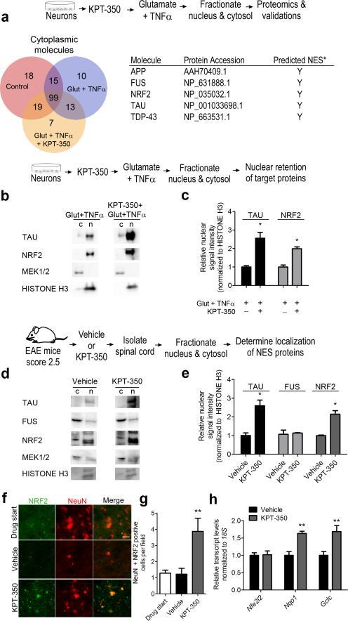 https://cdn.ncbi.nlm.nih.gov/pmc/blobs/ca28/4522902/b7b4a7530640/nihms-658408-f0008.jpg