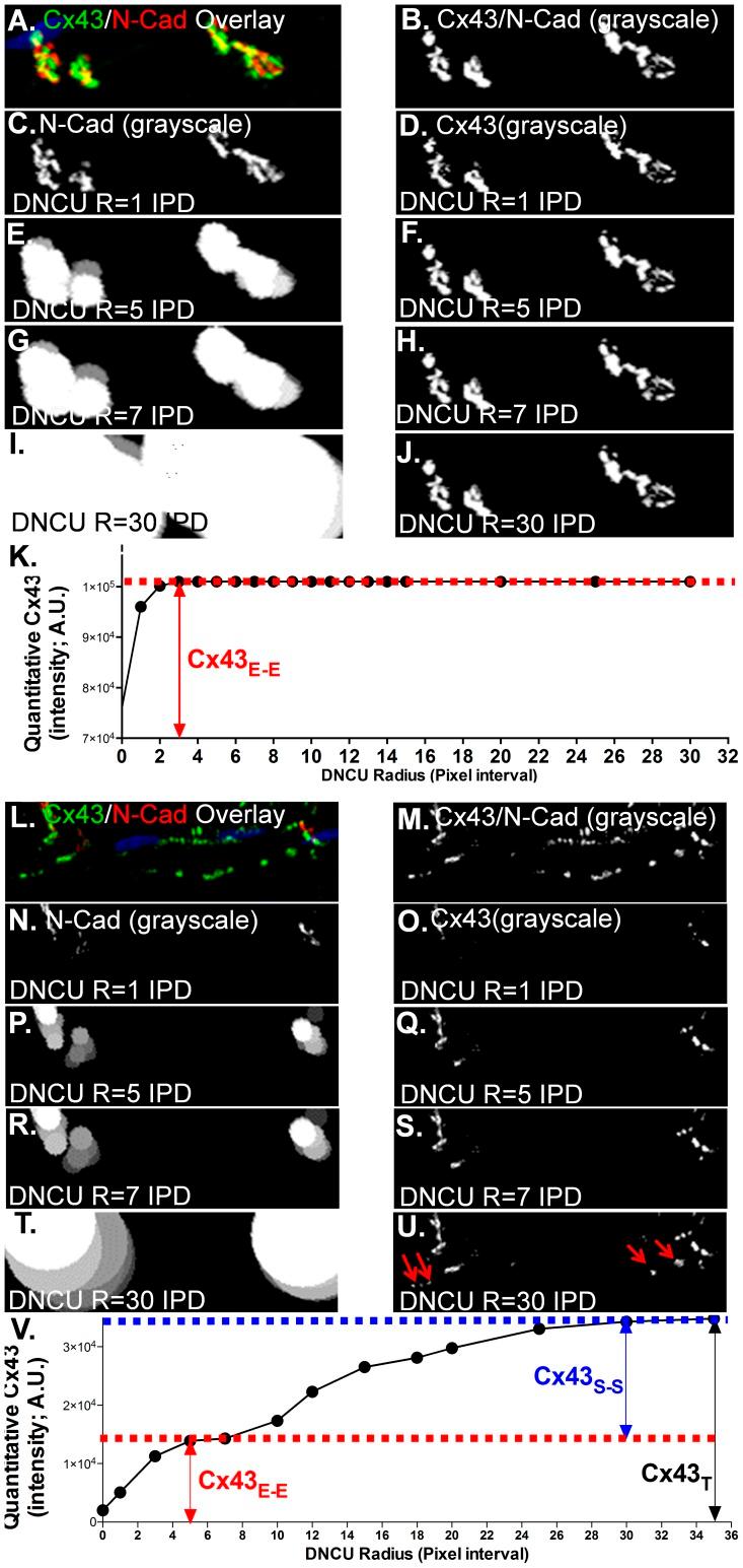 https://cdn.ncbi.nlm.nih.gov/pmc/blobs/ca29/4126721/22a6df5feb7d/pone.0104357.g004.jpg