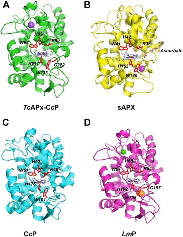 https://cdn.ncbi.nlm.nih.gov/pmc/blobs/ca29/9358470/0ea88fede75c/gr1.jpg