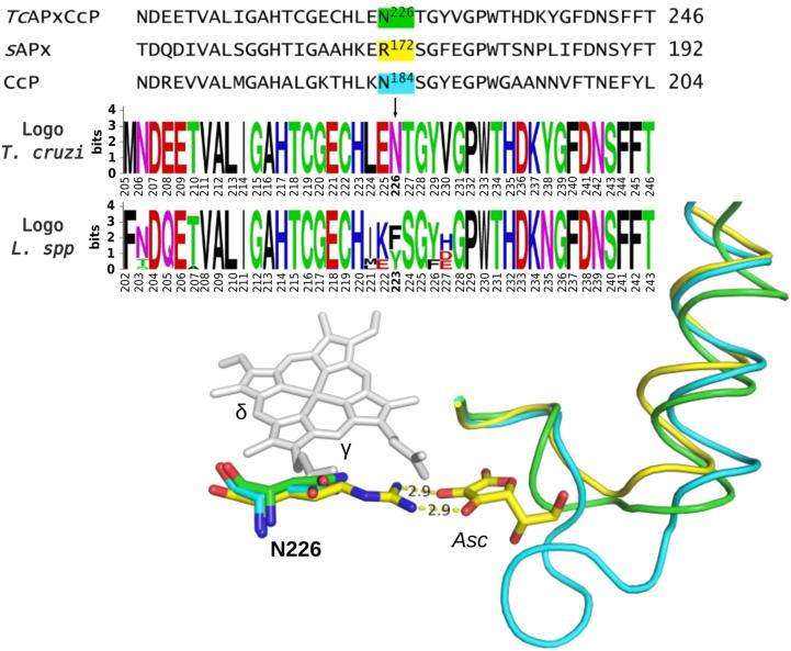 https://cdn.ncbi.nlm.nih.gov/pmc/blobs/ca29/9358470/85b389c4c197/gr4.jpg