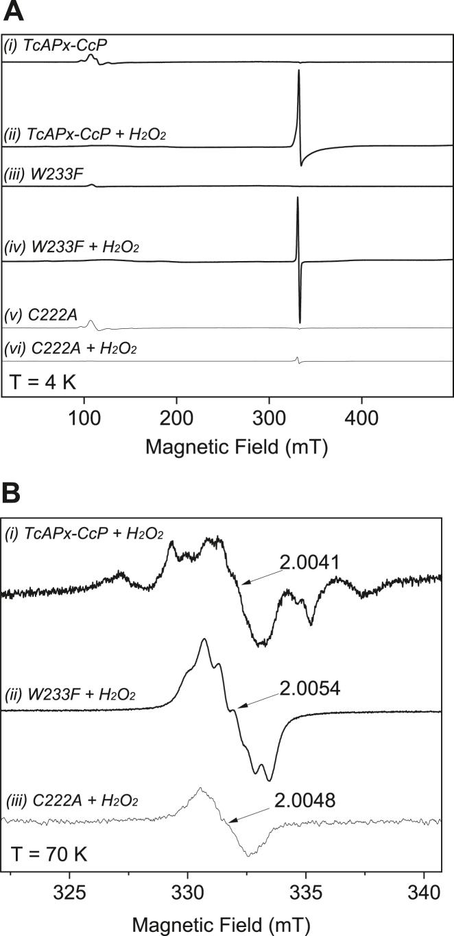 https://cdn.ncbi.nlm.nih.gov/pmc/blobs/ca29/9358470/99dd5a35b225/gr3.jpg