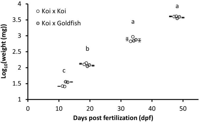 https://cdn.ncbi.nlm.nih.gov/pmc/blobs/ca2b/11554265/c6339e154365/biolopen-13-060342-g1.jpg