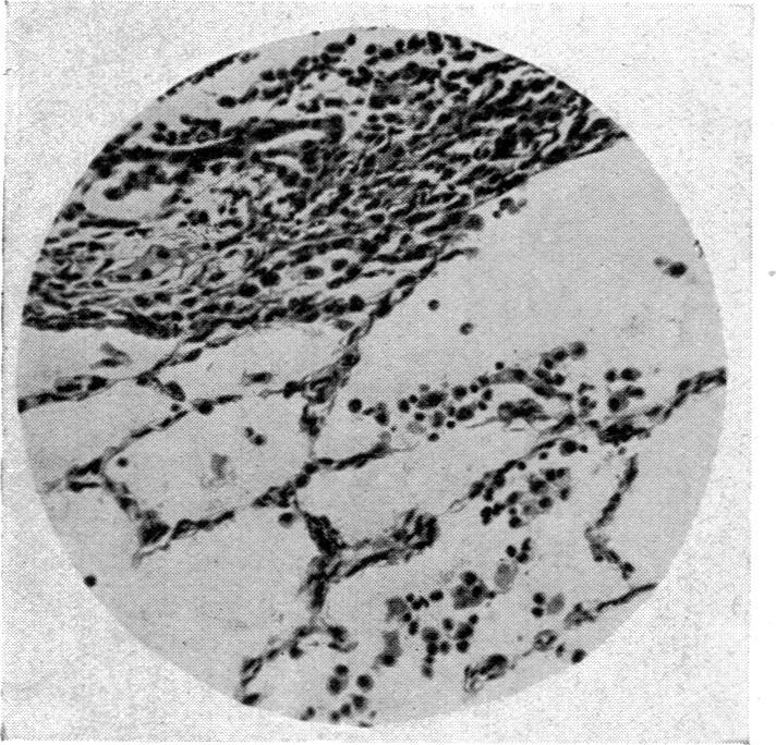 https://cdn.ncbi.nlm.nih.gov/pmc/blobs/ca2b/1509993/e15b1965d1c7/bripharmchem00116-0100-b.jpg