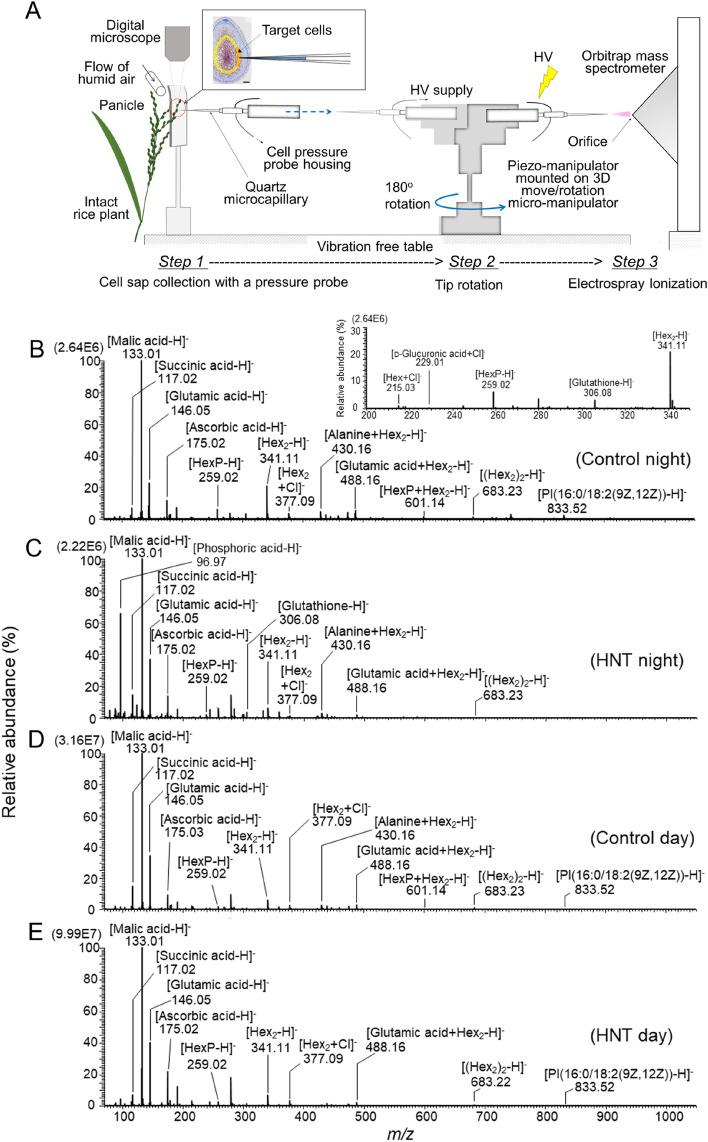 https://cdn.ncbi.nlm.nih.gov/pmc/blobs/ca2d/7904791/349c2a4a525e/41598_2021_83870_Fig3_HTML.jpg