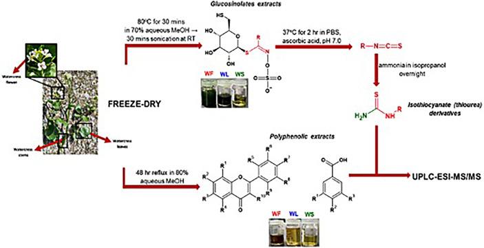 https://cdn.ncbi.nlm.nih.gov/pmc/blobs/ca2d/9706002/ecded96342ca/fpls-13-998755-g001.jpg