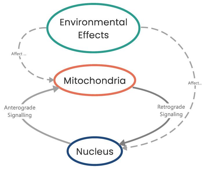 https://cdn.ncbi.nlm.nih.gov/pmc/blobs/ca30/10296273/9e0a287de01c/biomolecules-13-00944-g004.jpg