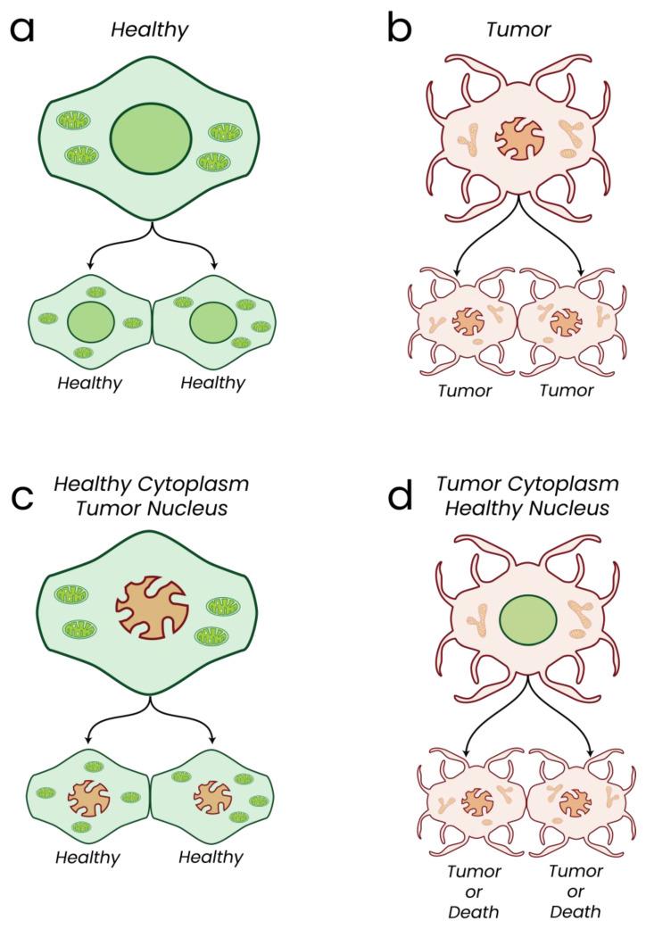https://cdn.ncbi.nlm.nih.gov/pmc/blobs/ca30/10296273/b8fa2e1b3fe3/biomolecules-13-00944-g008.jpg
