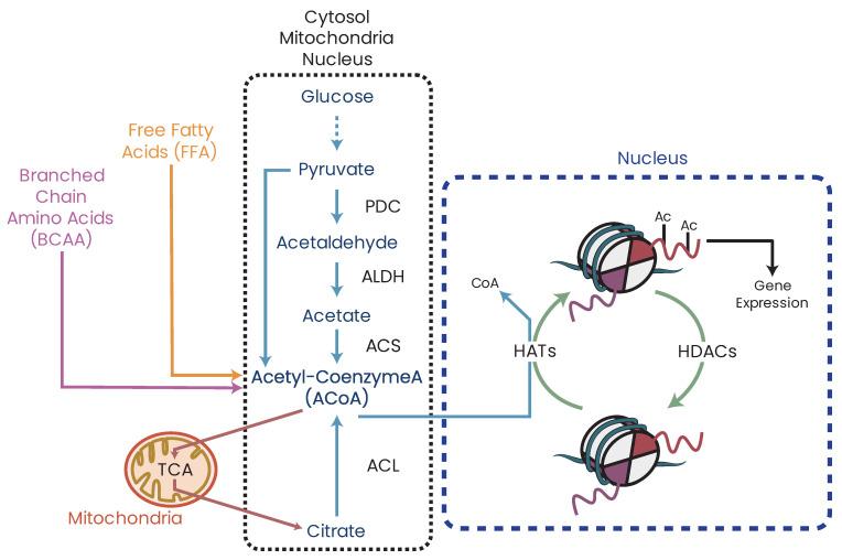 https://cdn.ncbi.nlm.nih.gov/pmc/blobs/ca30/10296273/bf61425ee4a4/biomolecules-13-00944-g013.jpg