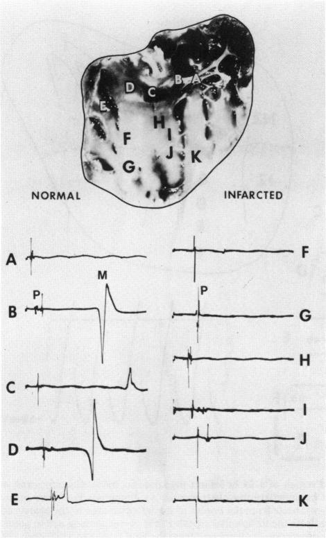 https://cdn.ncbi.nlm.nih.gov/pmc/blobs/ca30/1637270/cde89cc6295f/envhper00483-0225-a.jpg