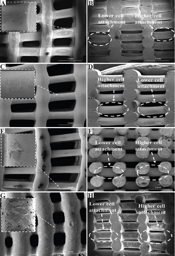 https://cdn.ncbi.nlm.nih.gov/pmc/blobs/ca32/8114095/9329b7b694f4/IJB-7-2-268-g009.jpg