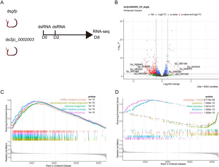 https://cdn.ncbi.nlm.nih.gov/pmc/blobs/ca33/11977999/6d0ec84d941d/ppat.1013014.g006.jpg