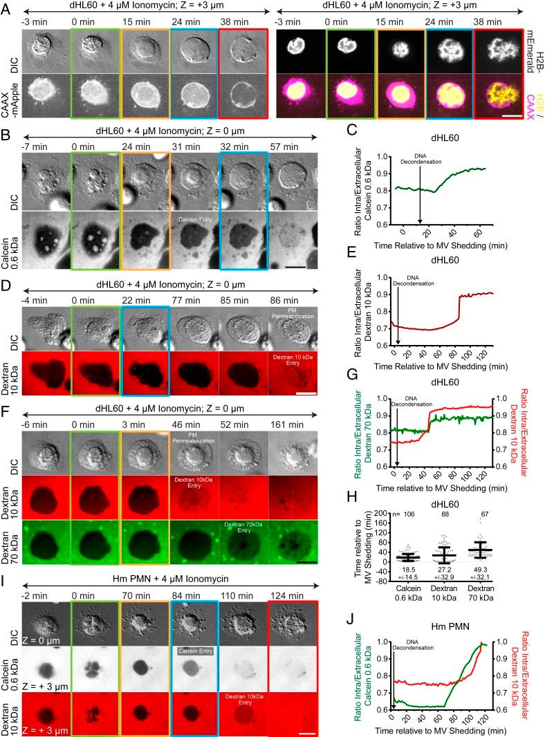 https://cdn.ncbi.nlm.nih.gov/pmc/blobs/ca35/7132277/06fe819b64d8/pnas.1909546117fig05.jpg