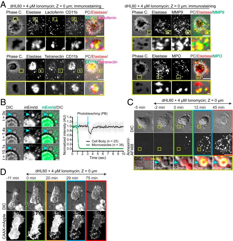 https://cdn.ncbi.nlm.nih.gov/pmc/blobs/ca35/7132277/2659ea45b277/pnas.1909546117fig02.jpg
