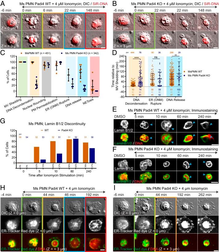 https://cdn.ncbi.nlm.nih.gov/pmc/blobs/ca35/7132277/8c5a7c50717f/pnas.1909546117fig06.jpg
