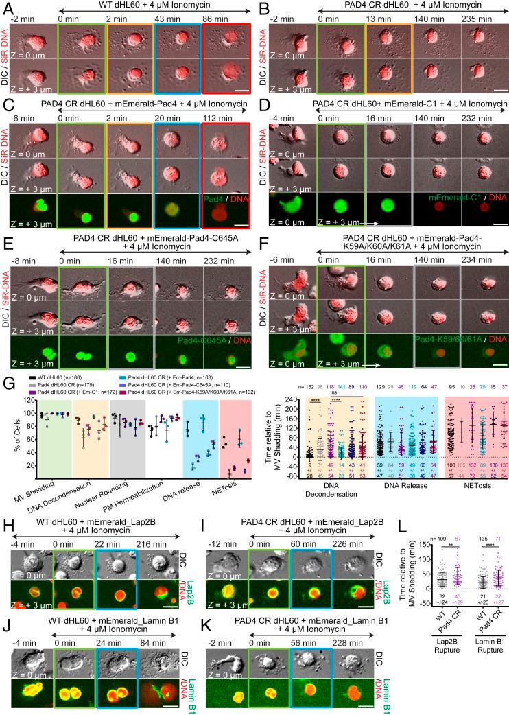 https://cdn.ncbi.nlm.nih.gov/pmc/blobs/ca35/7132277/eae3f7971638/pnas.1909546117fig08.jpg