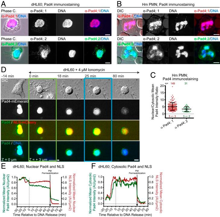 https://cdn.ncbi.nlm.nih.gov/pmc/blobs/ca35/7132277/f690823b1b95/pnas.1909546117fig07.jpg