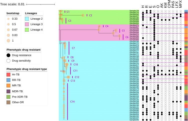 https://cdn.ncbi.nlm.nih.gov/pmc/blobs/ca37/10967994/b3b2e609bdca/IDR-17-1161-g0002.jpg