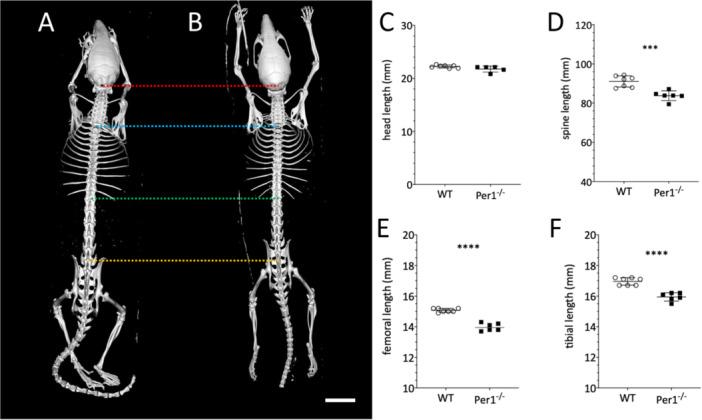 https://cdn.ncbi.nlm.nih.gov/pmc/blobs/ca37/11656283/3ff09f5650cc/JPI-76-e70020-g003.jpg