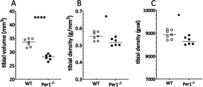 https://cdn.ncbi.nlm.nih.gov/pmc/blobs/ca37/11656283/6c0dc896ca9a/JPI-76-e70020-g002.jpg