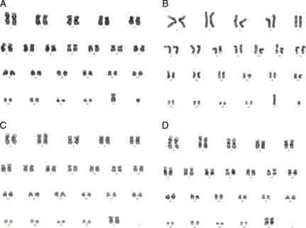 https://cdn.ncbi.nlm.nih.gov/pmc/blobs/ca3a/2854046/cf50b9064dcf/deq04005.jpg