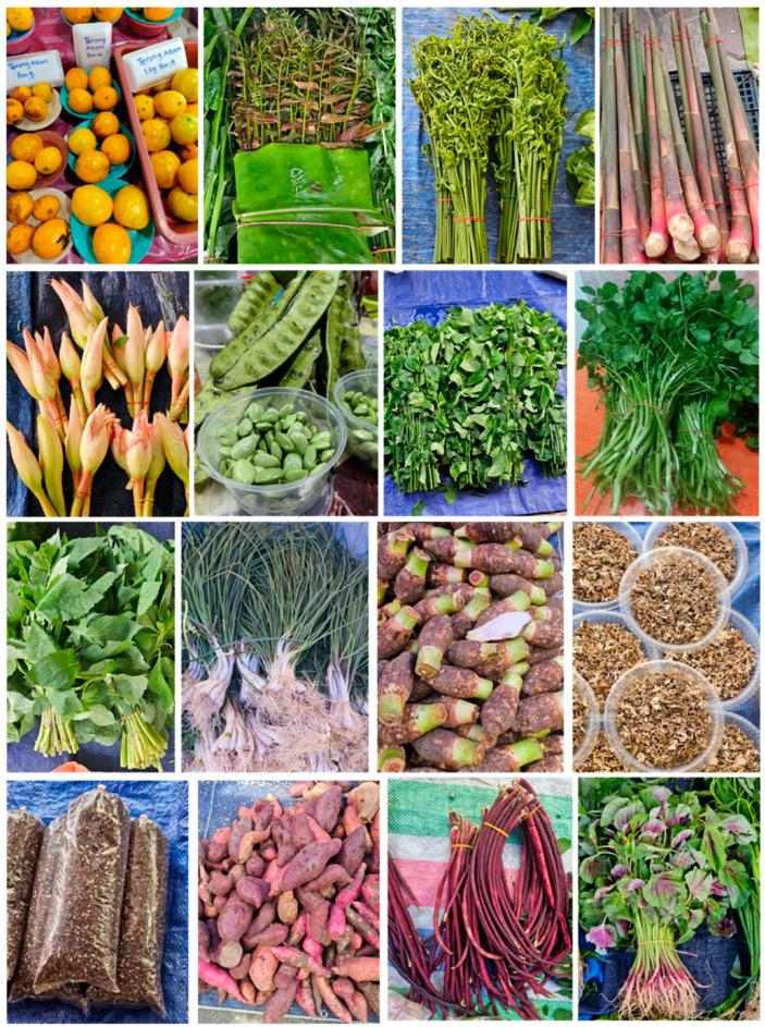 https://cdn.ncbi.nlm.nih.gov/pmc/blobs/ca3d/11767754/93bb86d92916/nutrients-17-00200-g004.jpg
