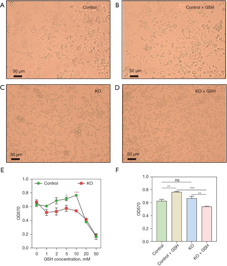 https://cdn.ncbi.nlm.nih.gov/pmc/blobs/ca3e/11231838/2f5c29bc240c/jgo-15-03-1002-f1.jpg